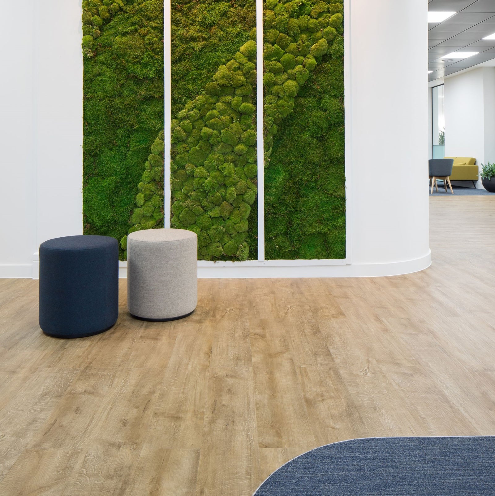 Formation Glue Down Plank