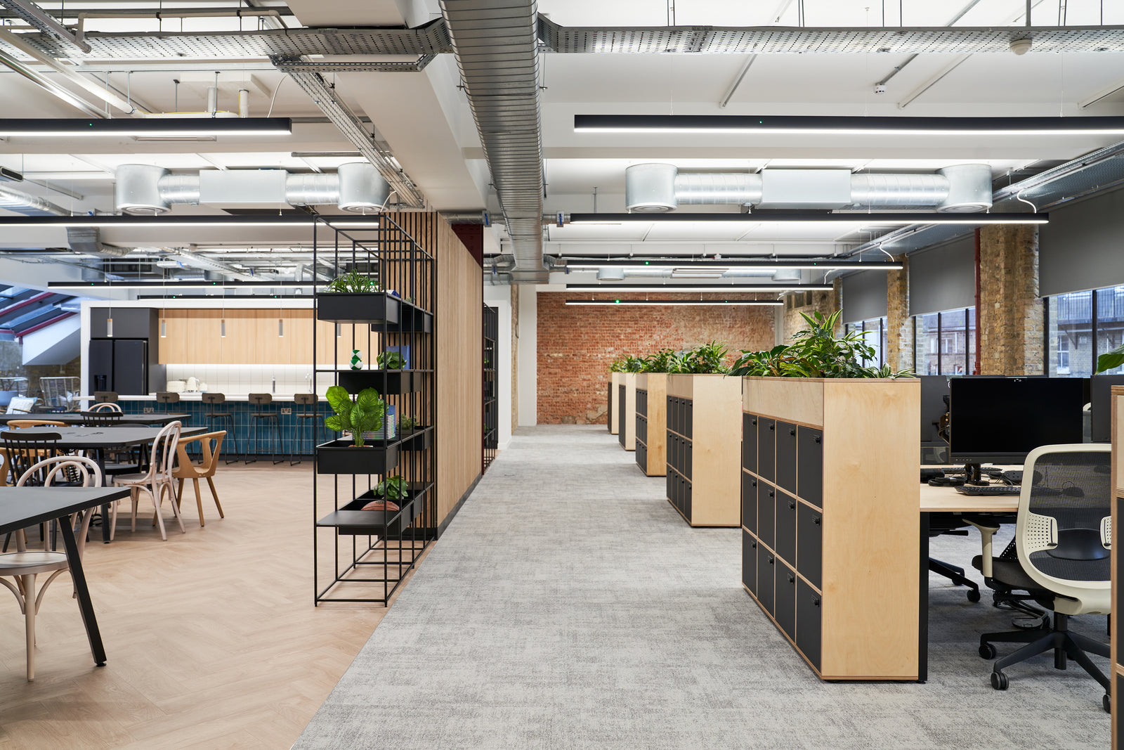 PlusFloor & Modus Workspace - Ayden