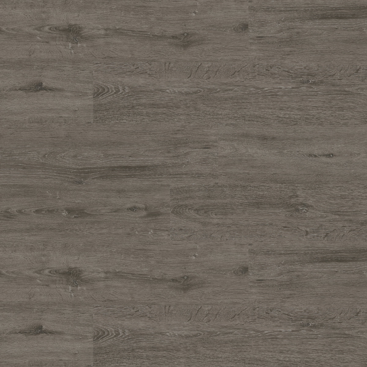 Blanched Carbon Click Lock