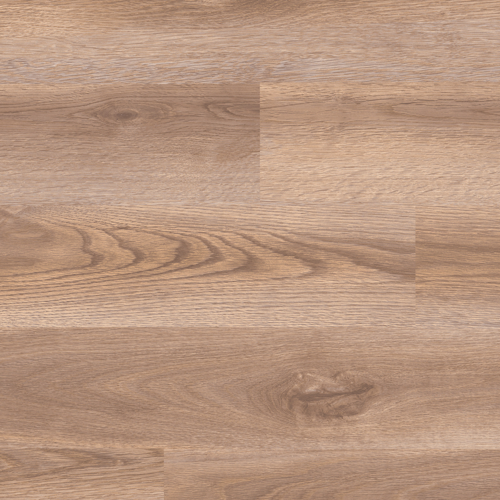Ecru Harmony Glue Down - PlusFloor