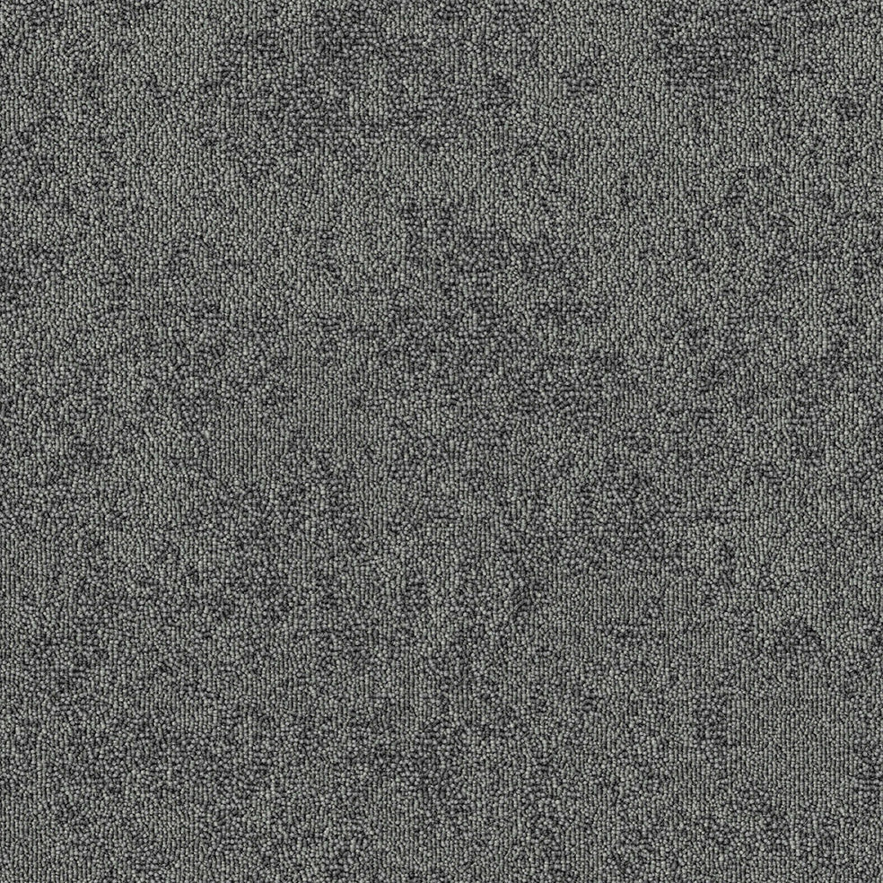 Echo Haze