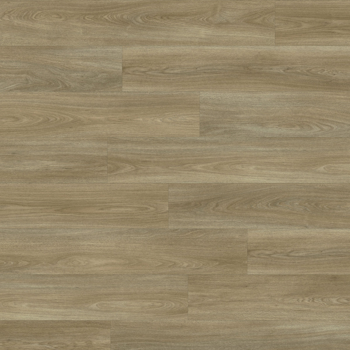 Formation Plank Urban Shale Glue Down - PlusFloor