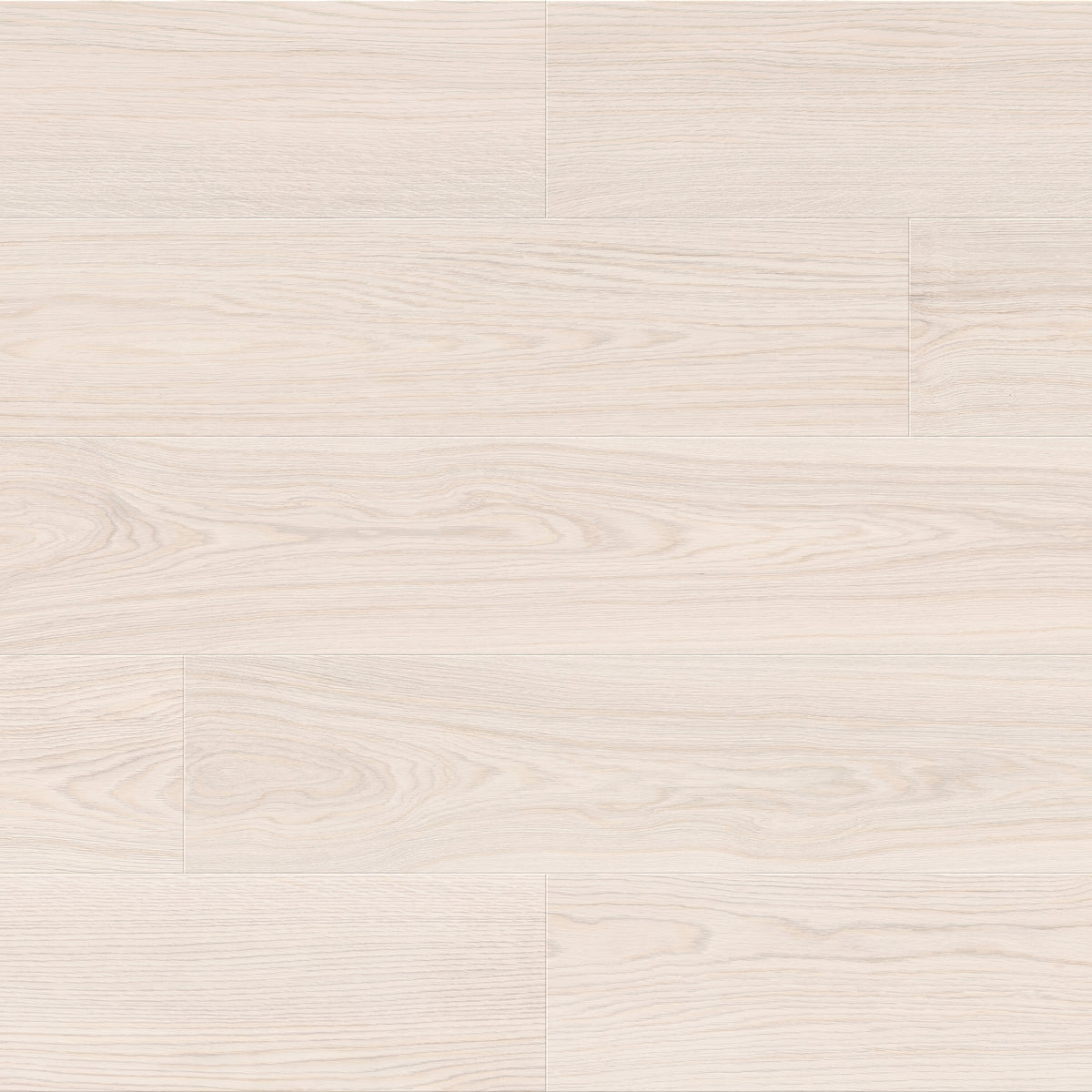 Maverick Cliff Plank