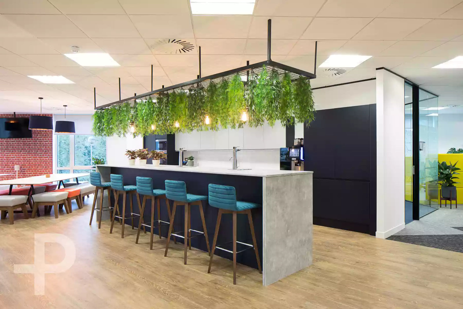 Alcon - Cloud Space, New Villeä