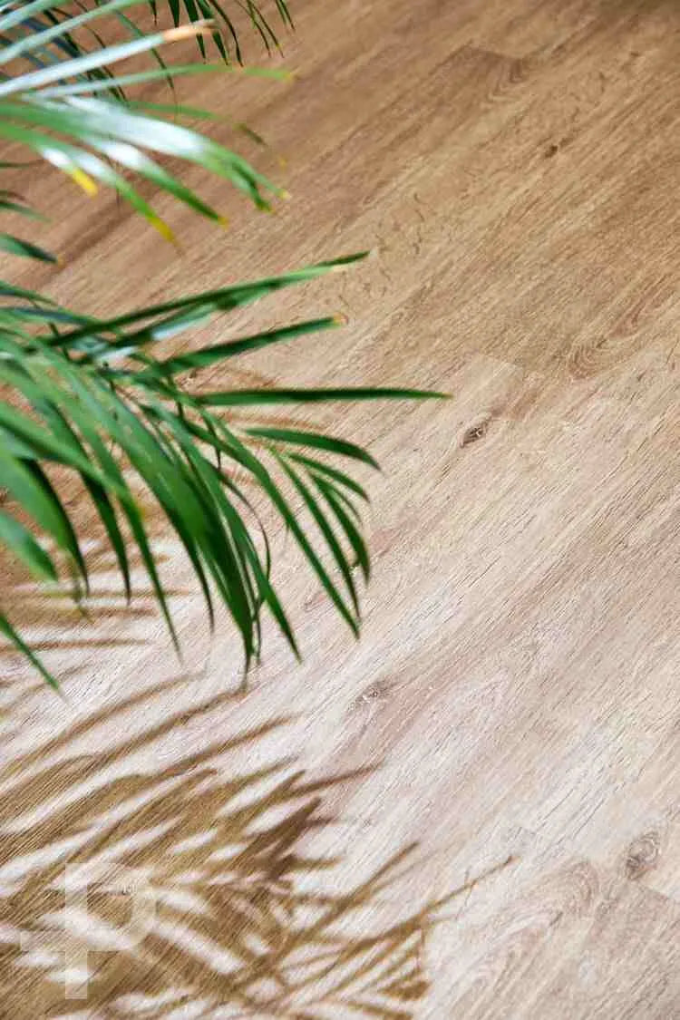 DEP Landscape Architecture - Formation Plank