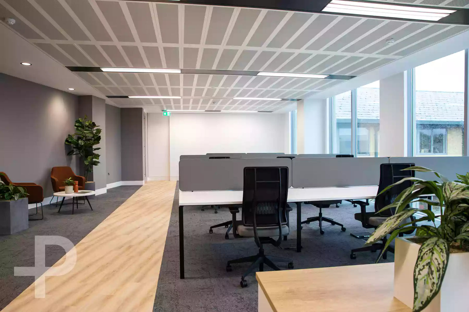 Genesis - Composition Ecru