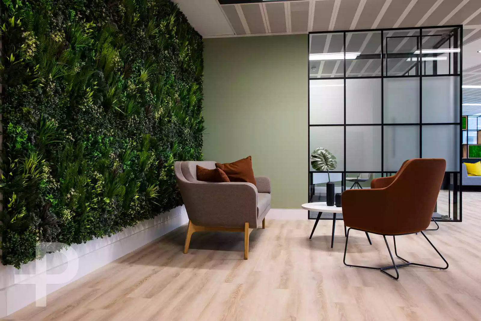 Genesis - Composition Ecru