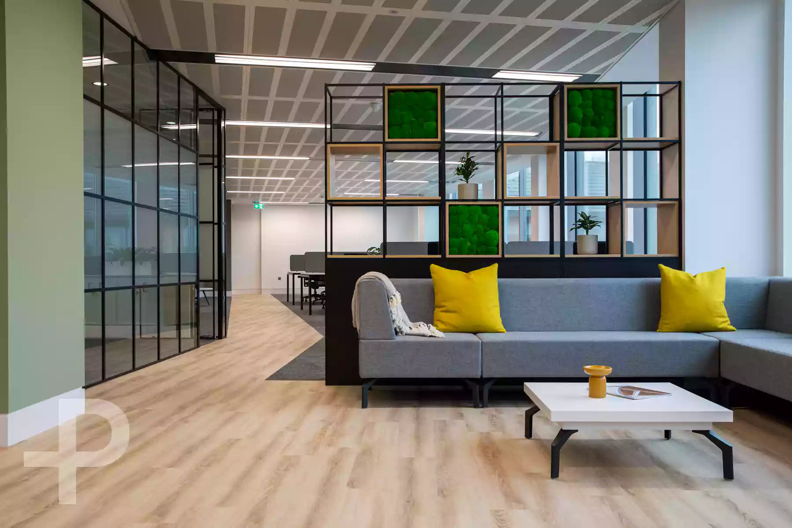 Genesis - Composition Ecru