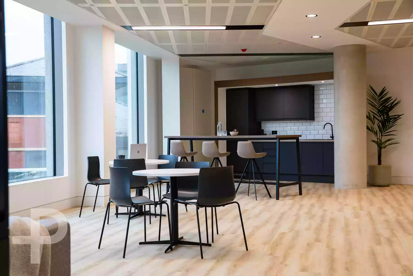 Genesis - Composition Ecru