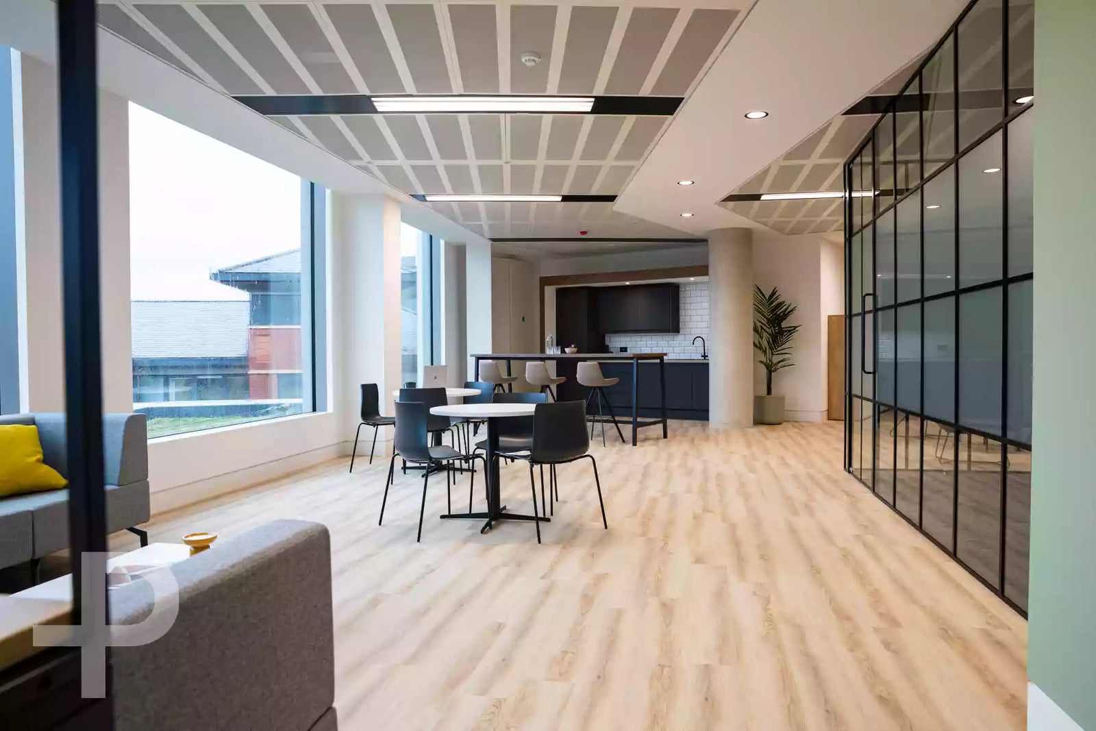 Genesis - Composition Ecru