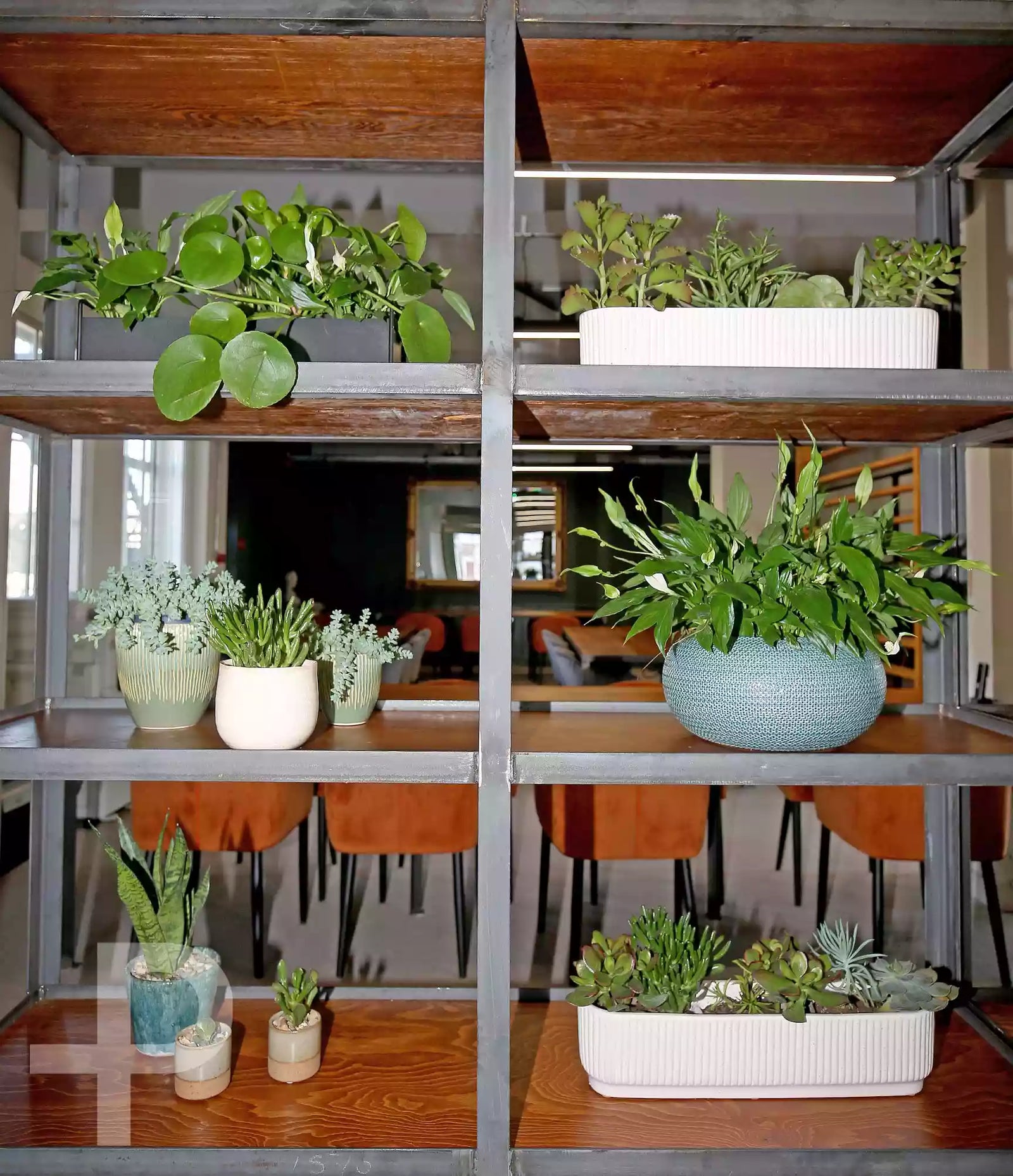 Global Futures - Carpet Tiles