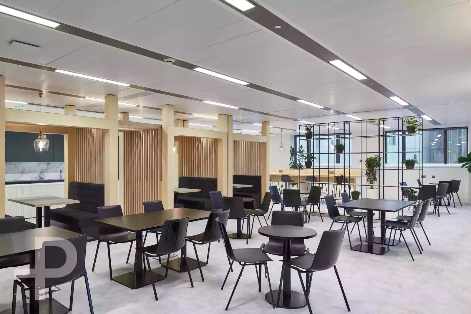 House of Hearst - Composition Sereno