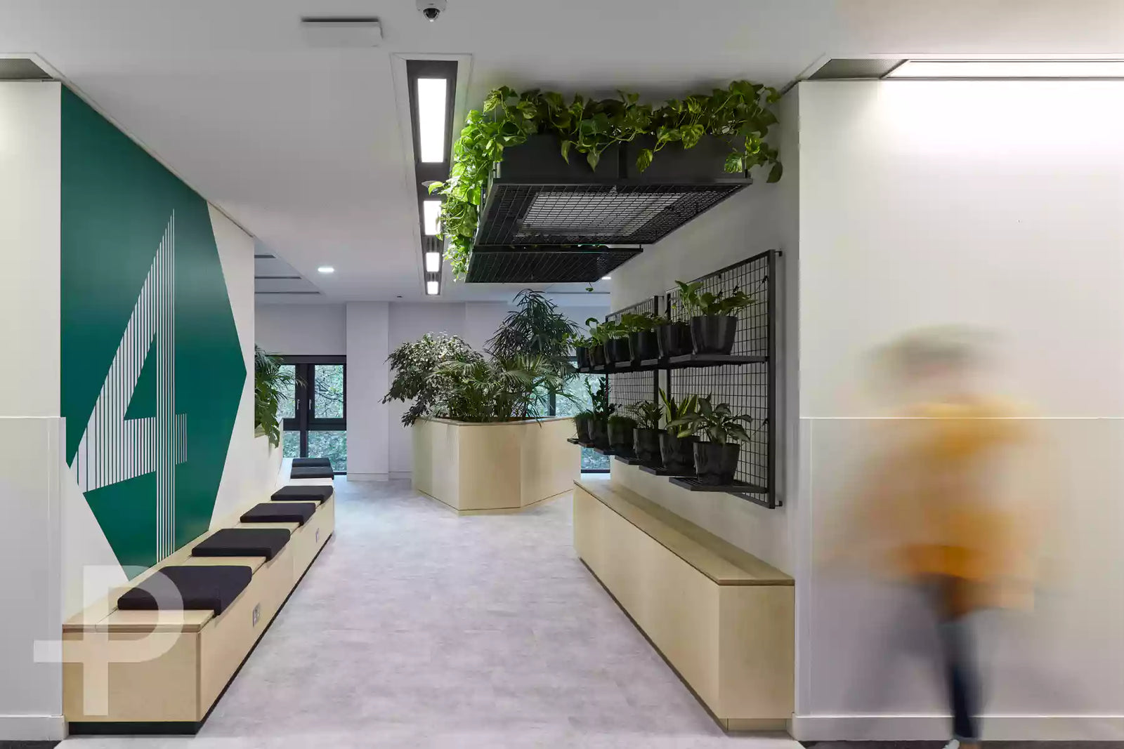 House of Hearst - Composition Sereno