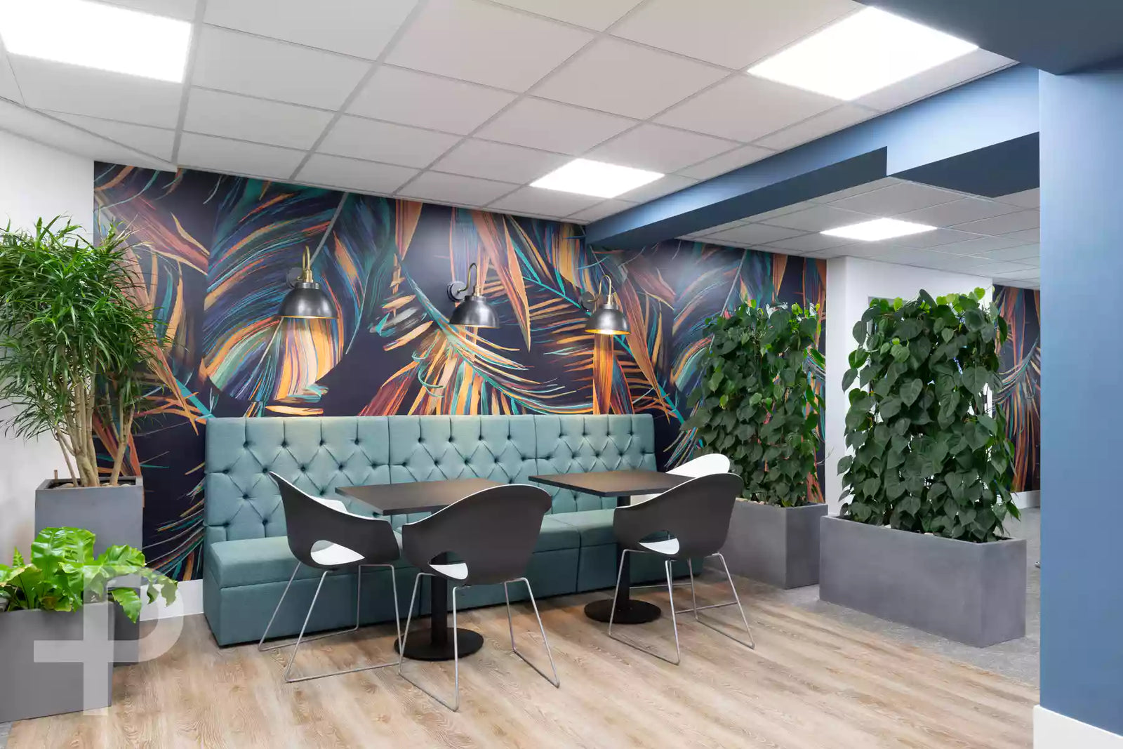 MI-GSO | PCUBED - Cloud Space, Composition Sereno