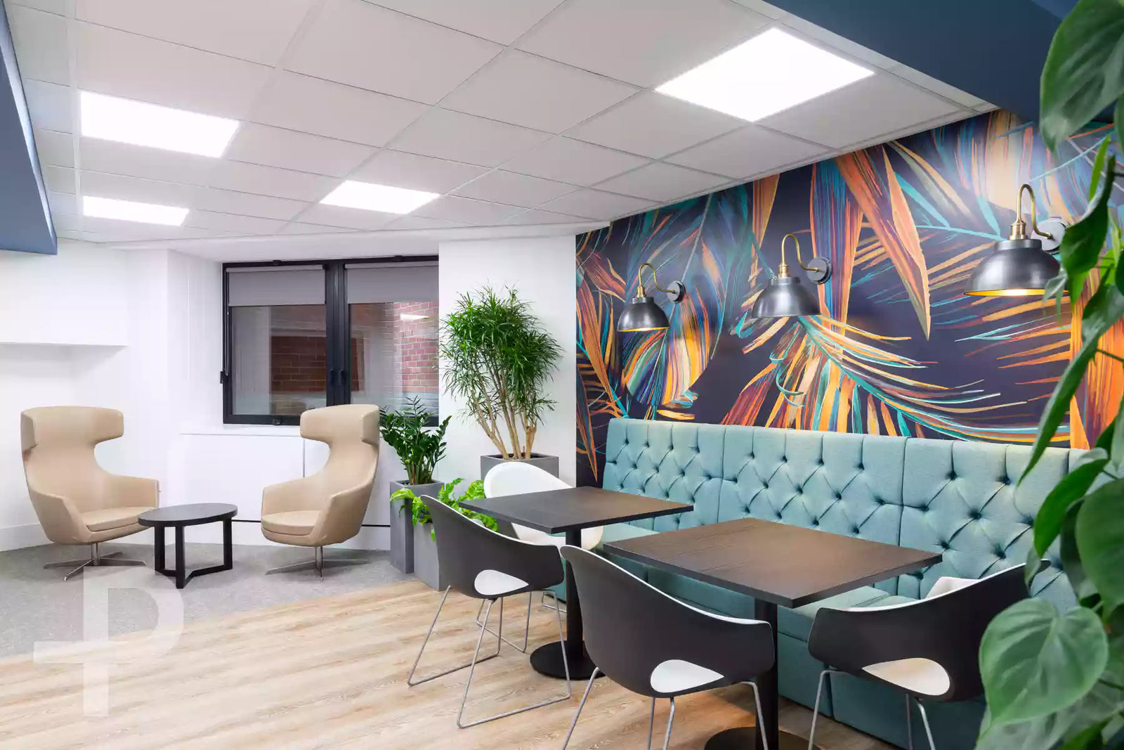 MI-GSO | PCUBED - Cloud Space, Composition Sereno