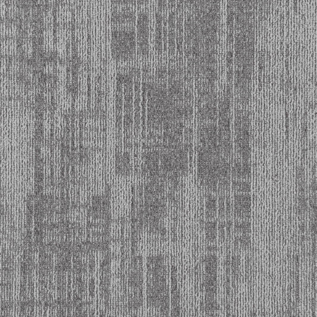 Midnight Sun Cottongrass