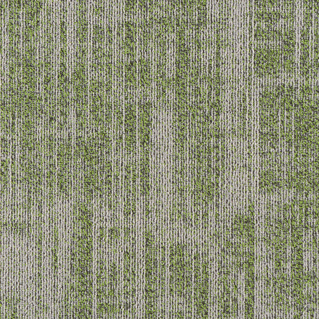 Midnight Sun Spear Moss