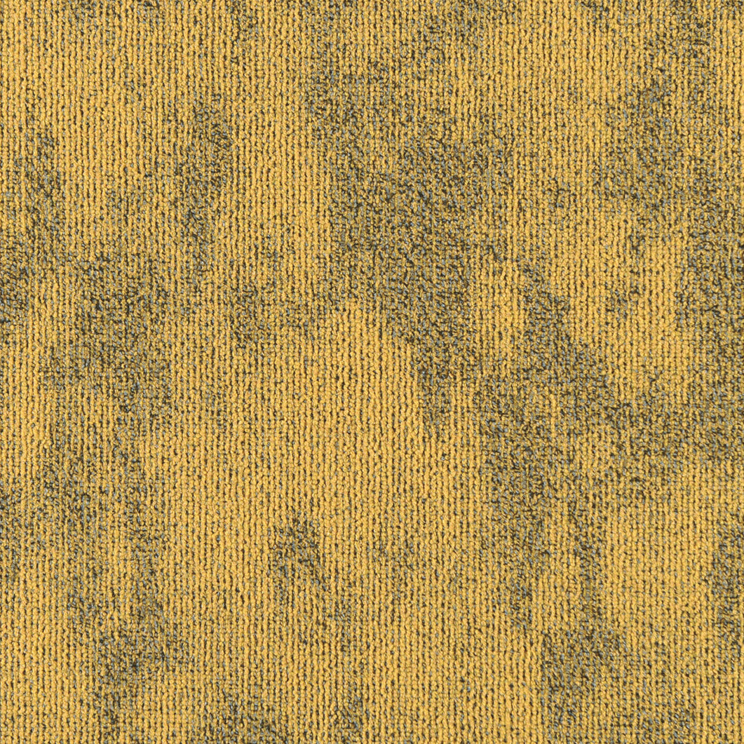 Polar Breeze Tundra Rose